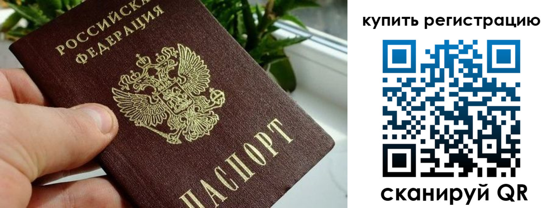 прописка гарантия в Кизеле